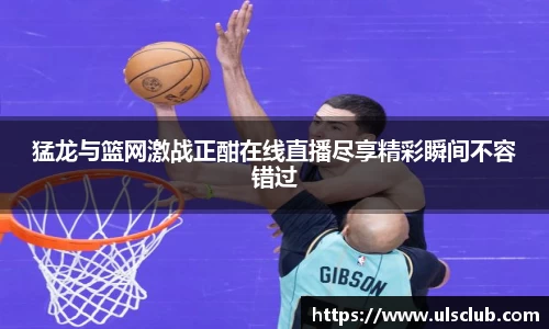 猛龙与篮网激战正酣在线直播尽享精彩瞬间不容错过