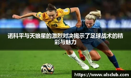 多多28官方网站