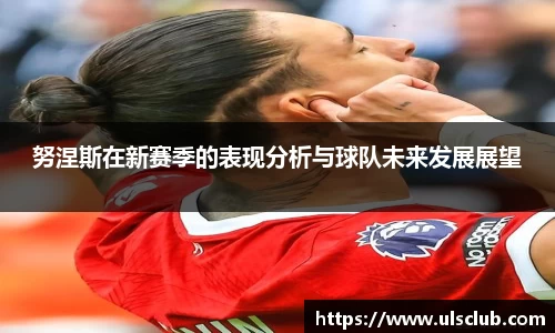 努涅斯在新赛季的表现分析与球队未来发展展望